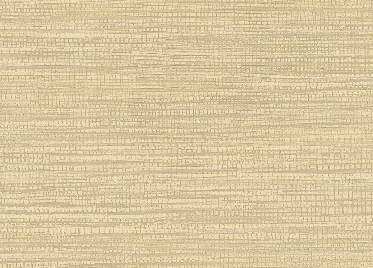 FIBRE 08 - Imagen 2